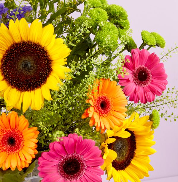 product image gallery_2