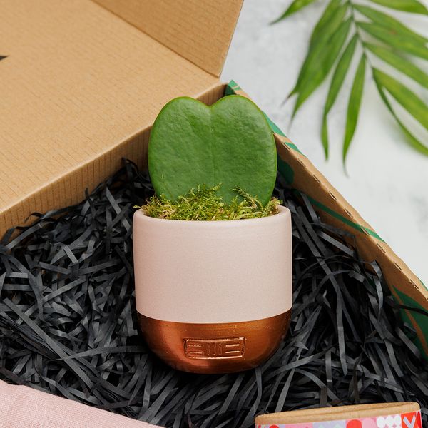 Product image gallery_2