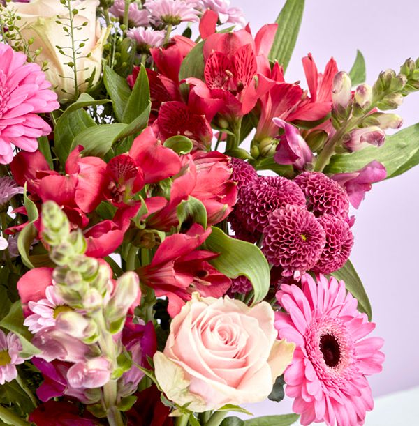 product image gallery_2