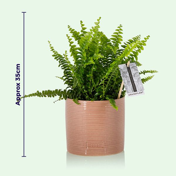 Product image gallery_2