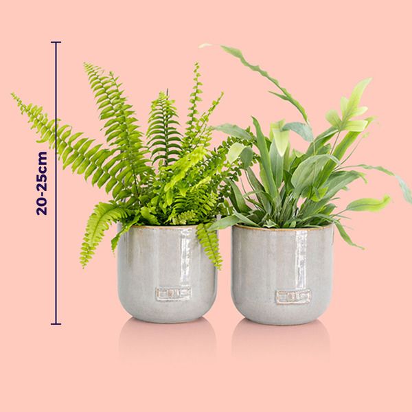 Product image gallery_2