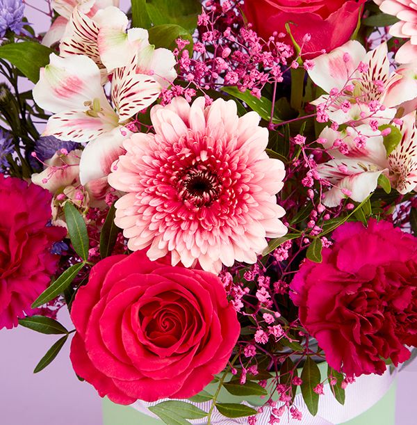 Product image gallery_2
