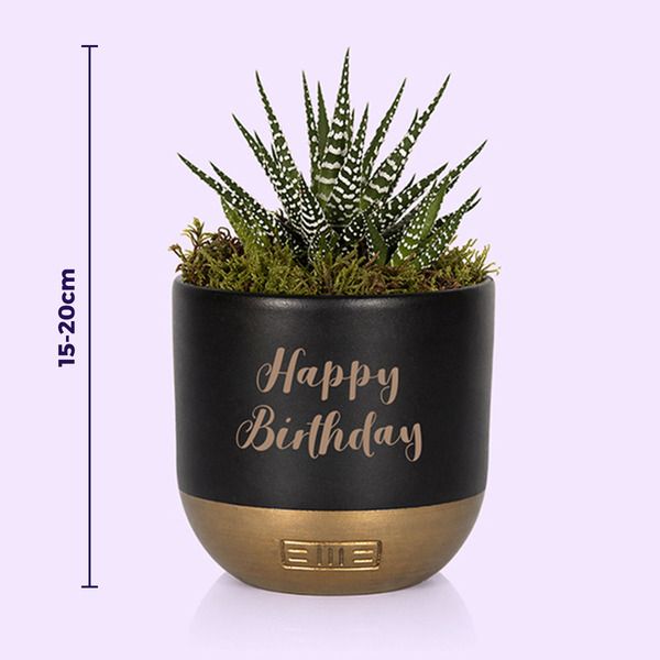 Product image gallery_2