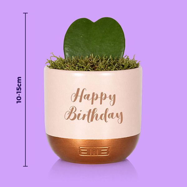 Product image gallery_2