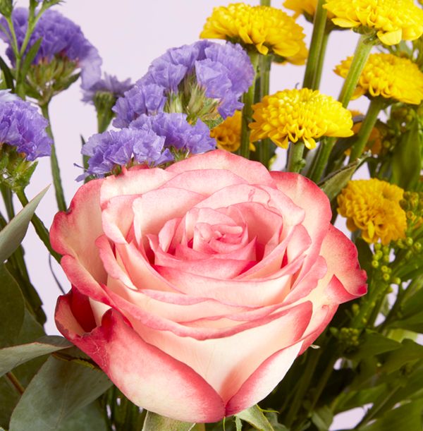 product image gallery_2