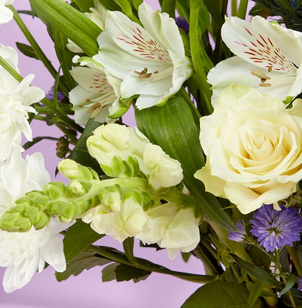 Product image gallery_2