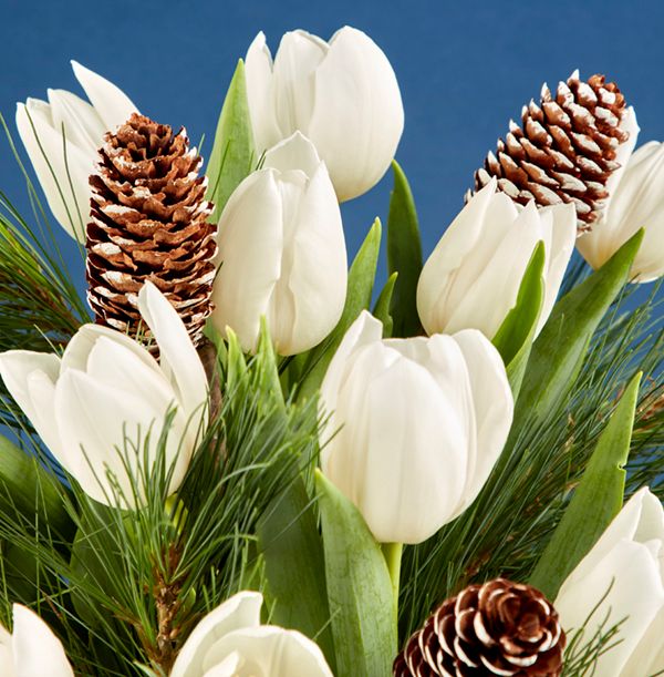 product image gallery_2