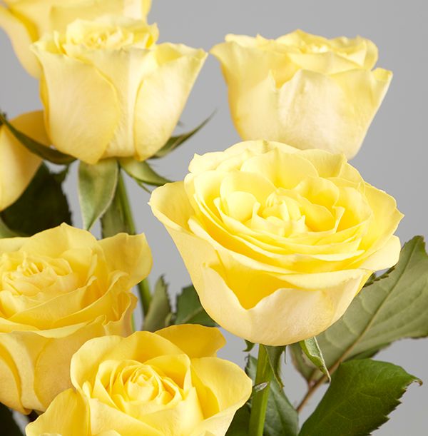 product image gallery_2