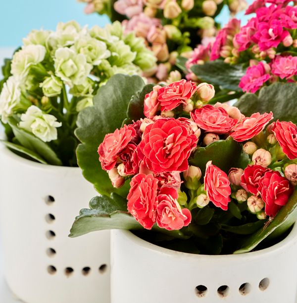 product image gallery_2