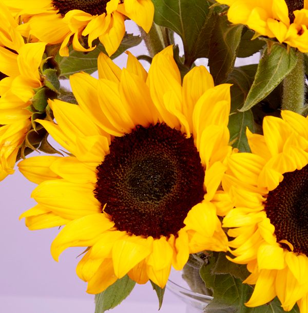 product image gallery_2