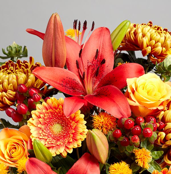 product image gallery_2