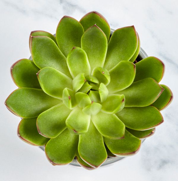 product image gallery_2