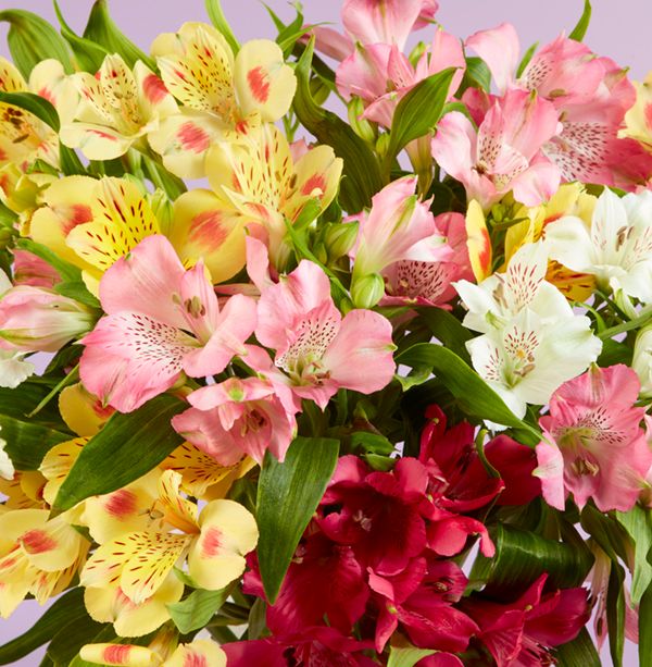 Product image gallery_2
