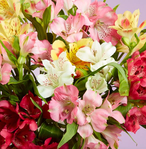 Product image gallery_2