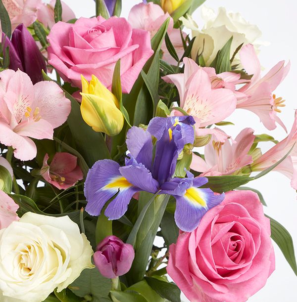 product image gallery_2