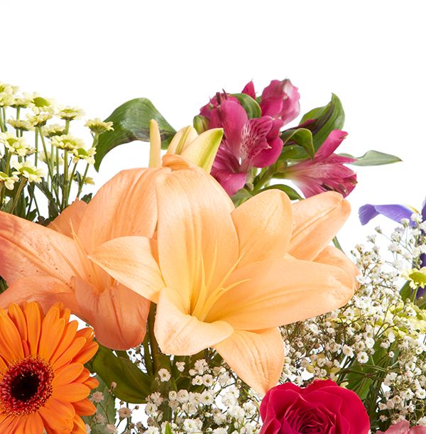 product image gallery_2
