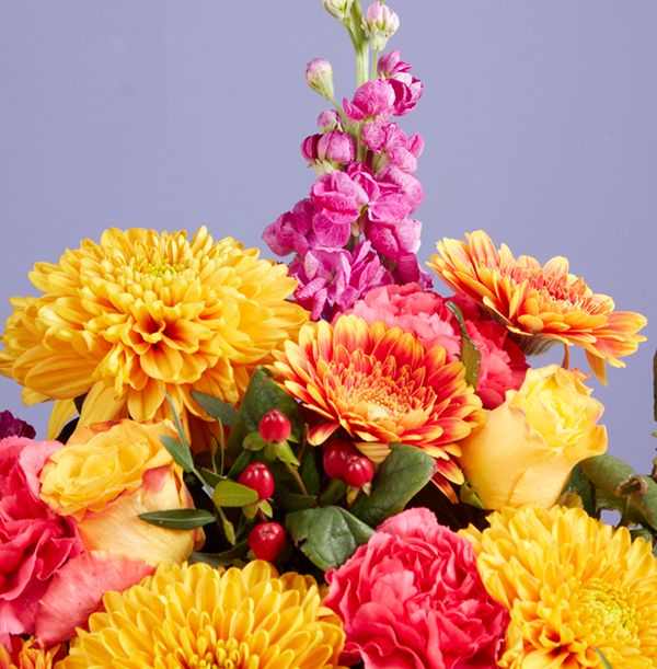 product image gallery_2