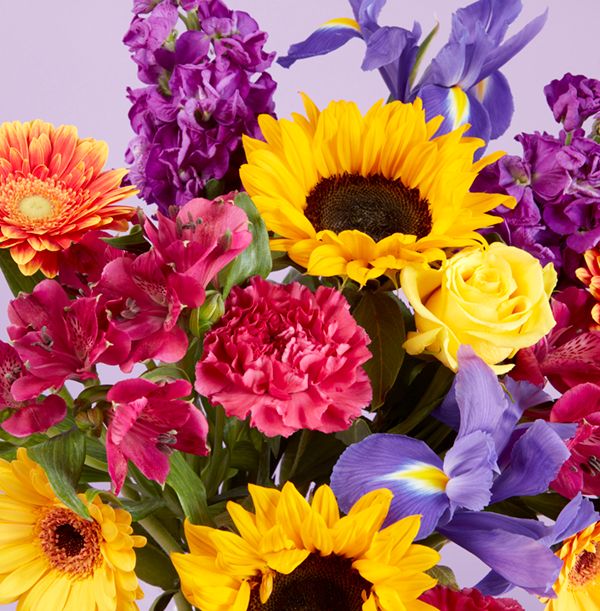 product image gallery_2