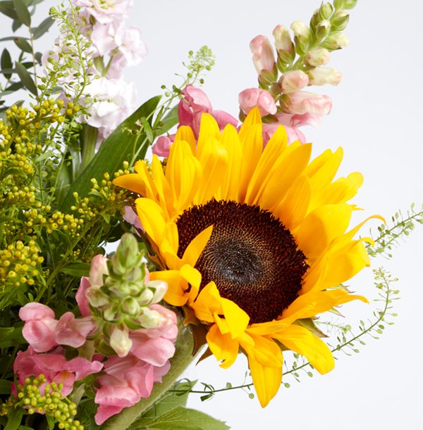 product image gallery_2