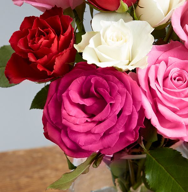 product image gallery_2