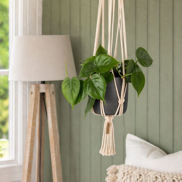 Product image gallery_2