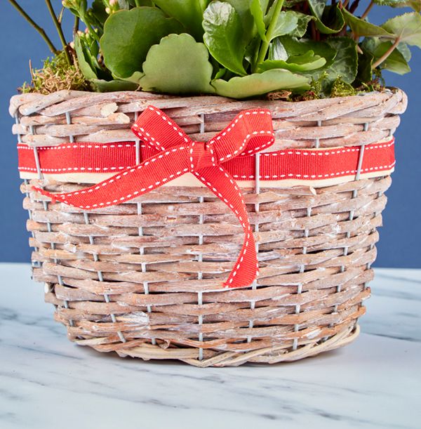 product image gallery_2