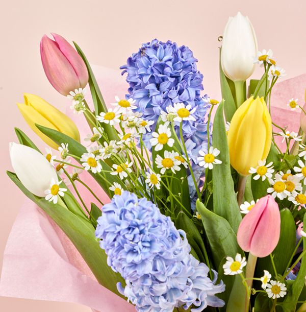 product image gallery_2