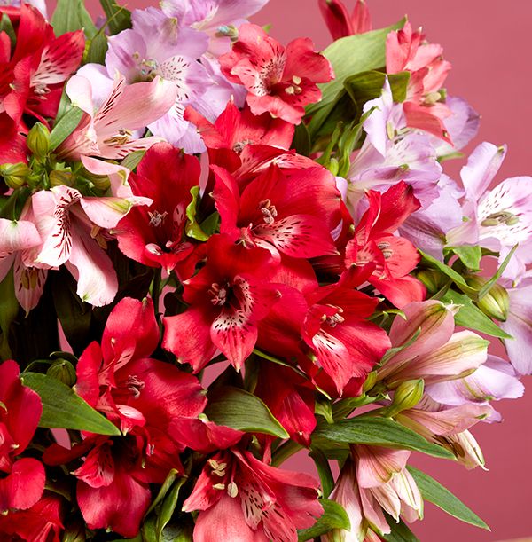 product image gallery_3