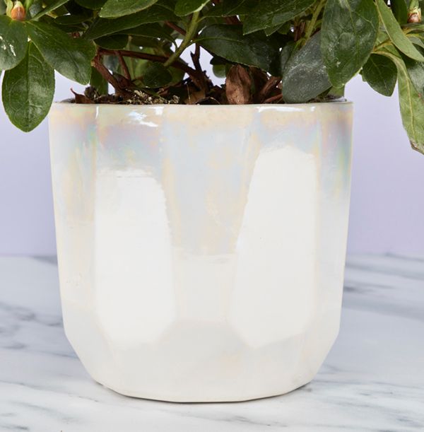 product image gallery_3