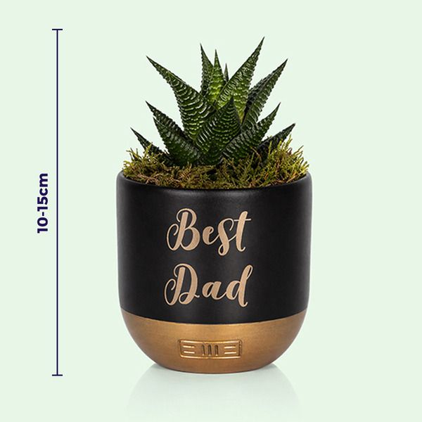Product image gallery_3