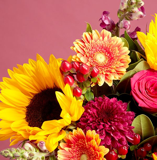 product image gallery_3