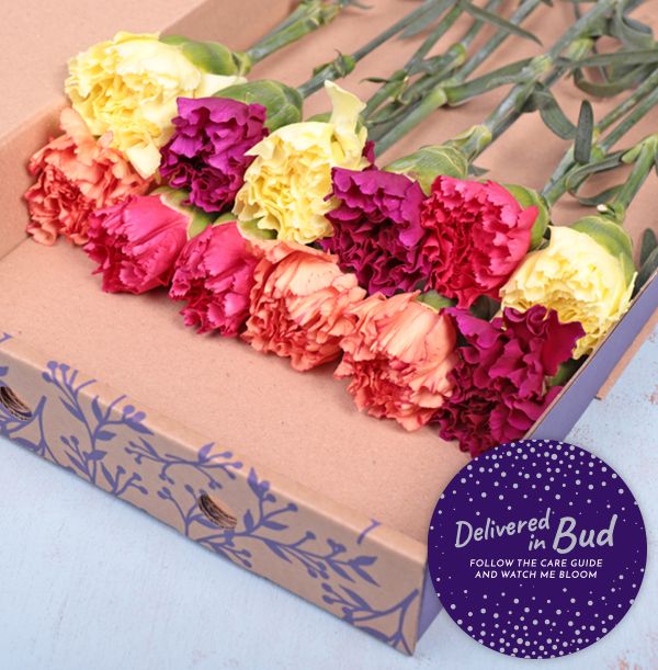 product image gallery_3