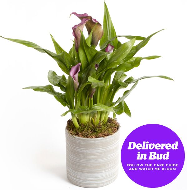 product image gallery_3