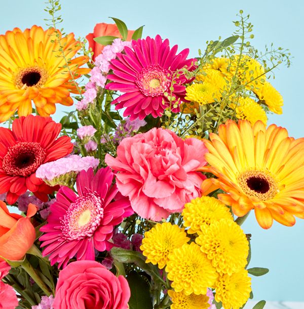 product image gallery_3