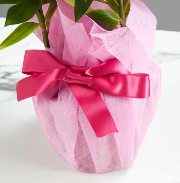 product image gallery_3