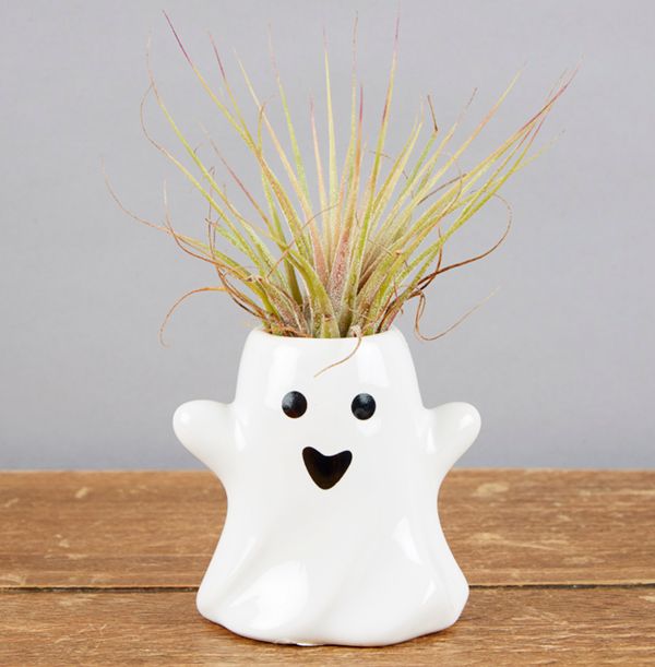 product image gallery_3