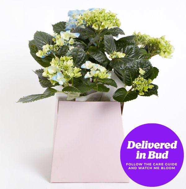 product image gallery_3