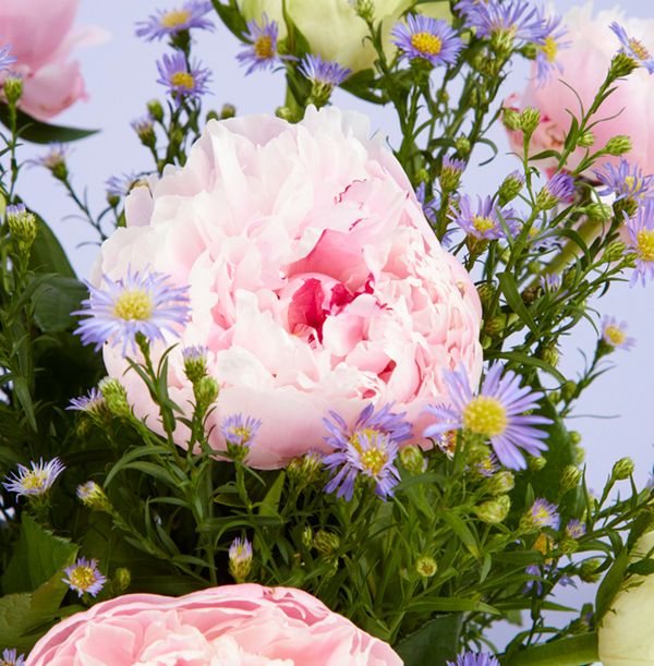 product image gallery_3