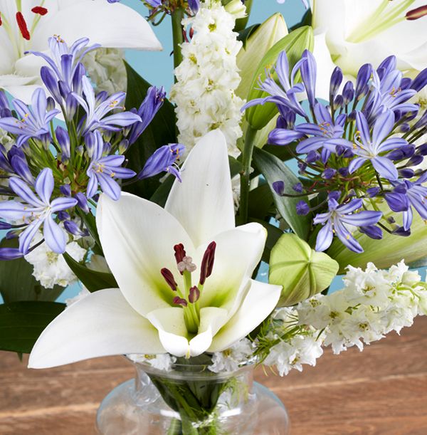 product image gallery_3