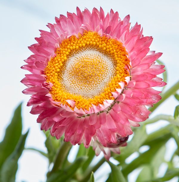 product image gallery_3