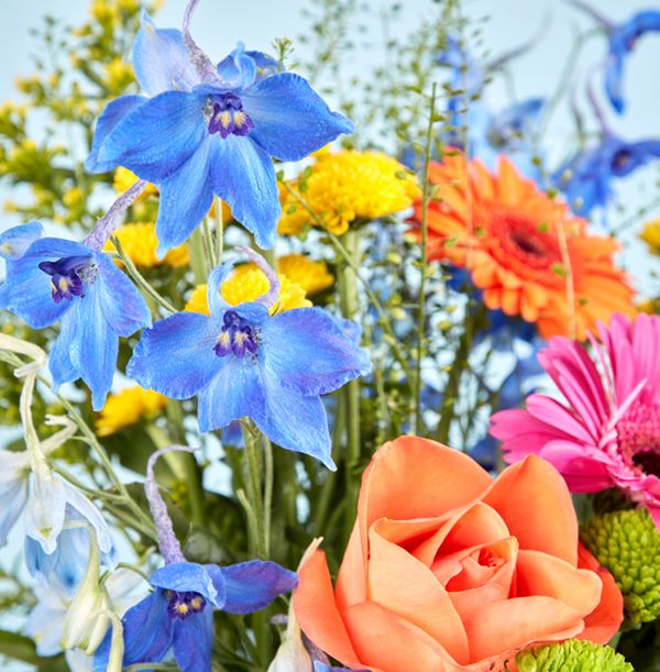 product image gallery_3