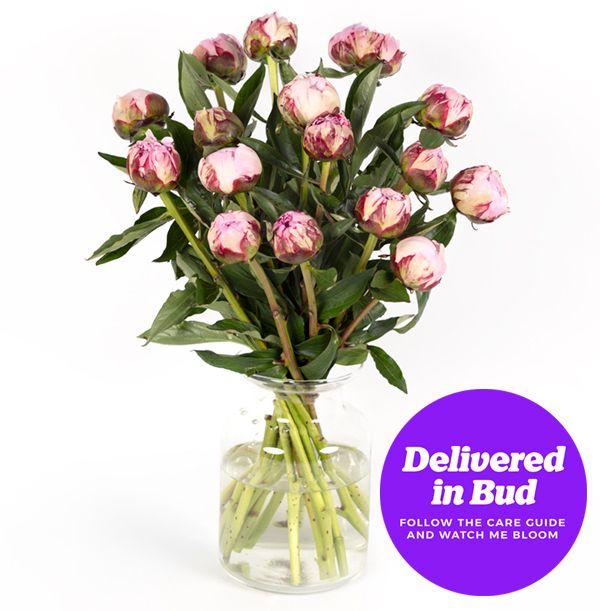product image gallery_3