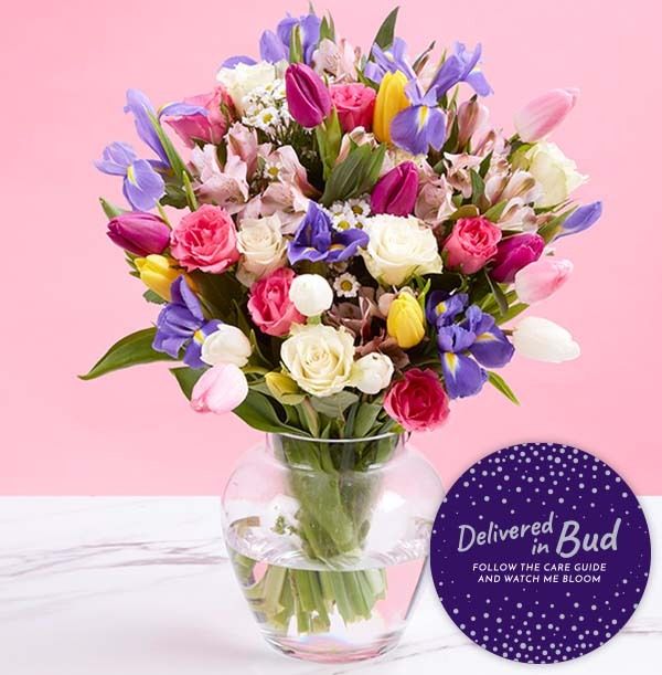 product image gallery_3