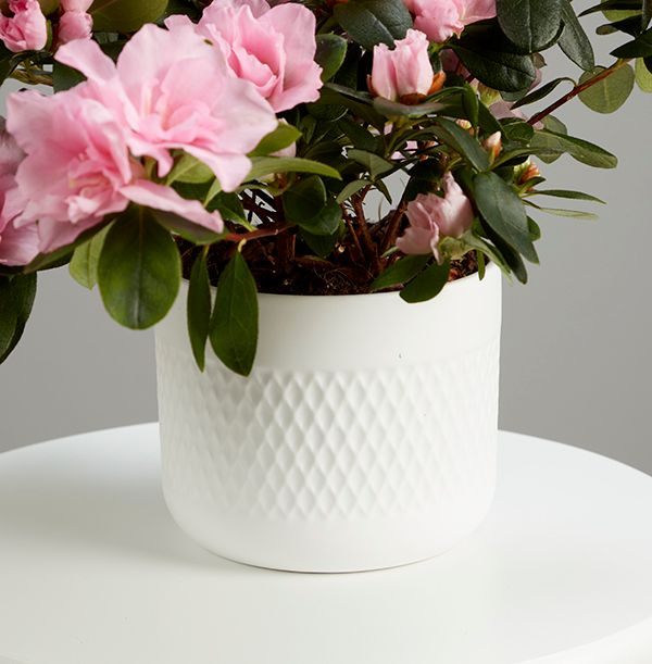 product image gallery_3