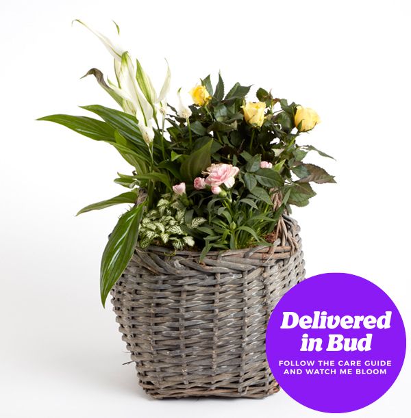 product image gallery_3