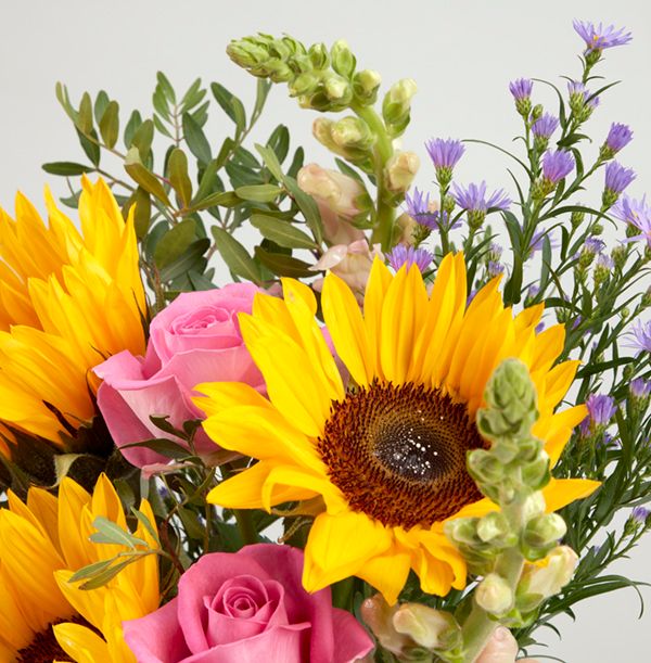 product image gallery_3