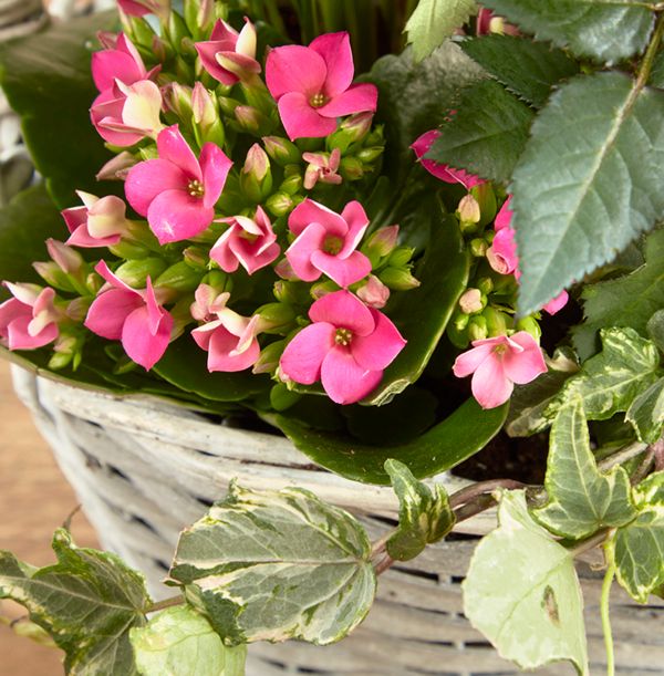 product image gallery_3