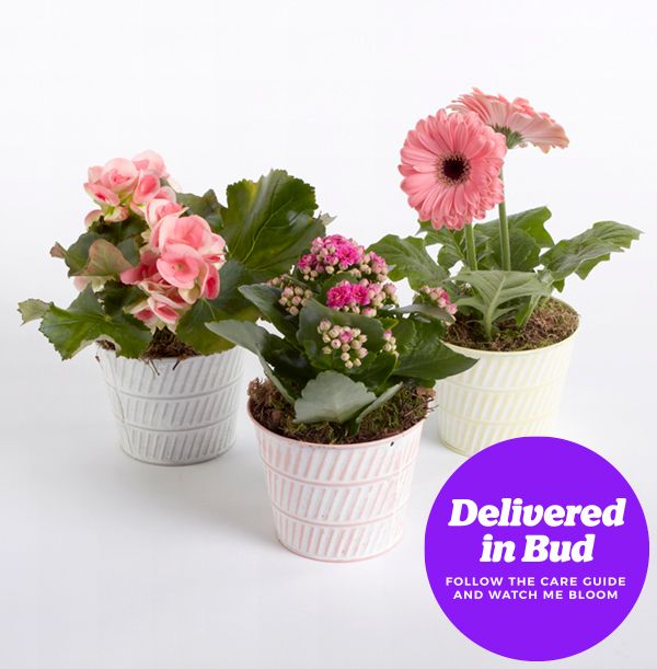 product image gallery_3