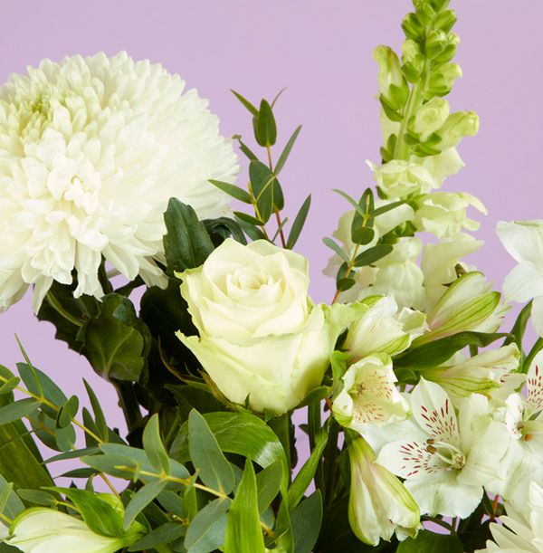 Product image gallery_3