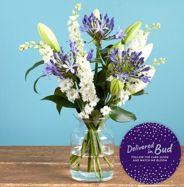 product image gallery_3